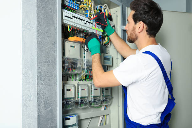 Best Electrical System Inspection  in Sandwich, IL